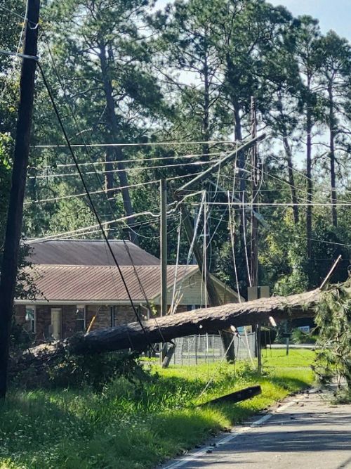 Your Mental Health Matters: Hurricane Helene Does Not Win